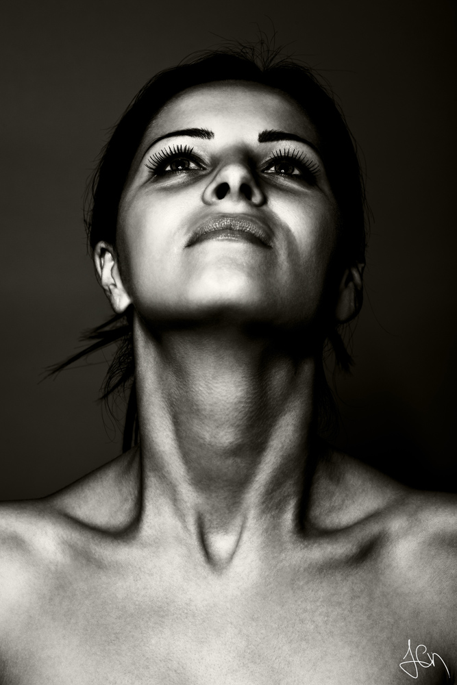 Atlas anatomii szyi – Topografia