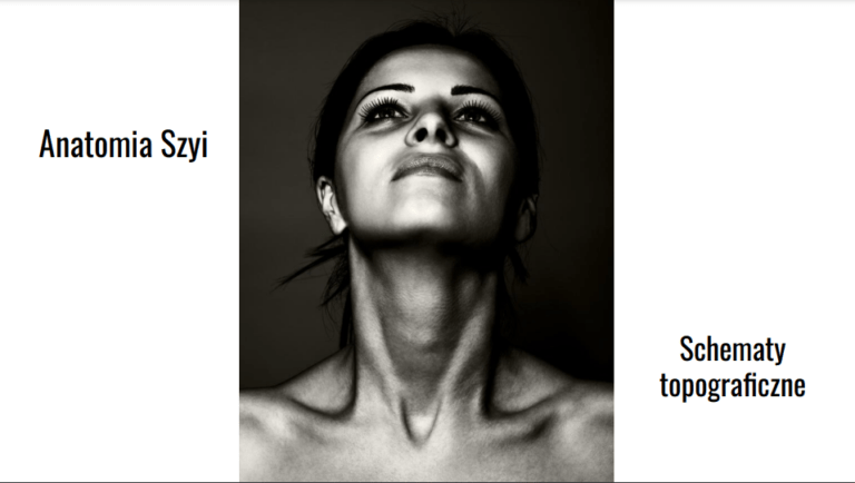 Szyja – schematy topograficzne