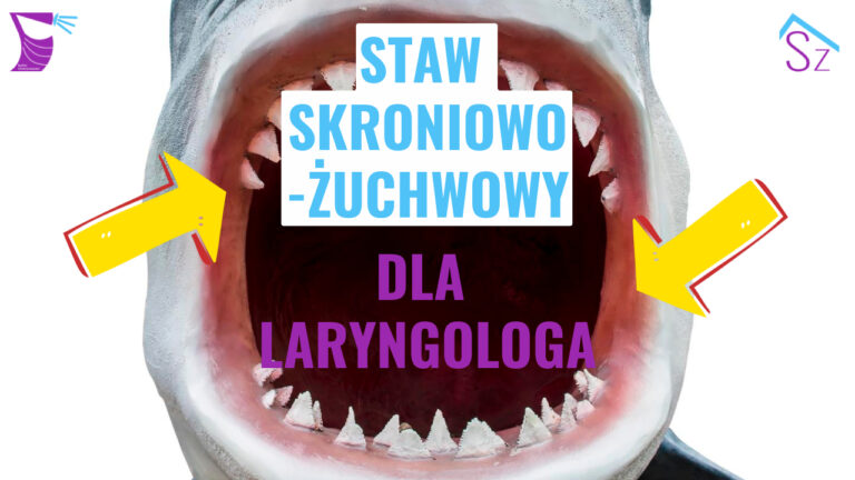 Staw skroniowo-żuchwowy dla Laryngologa — dr Michał Biały