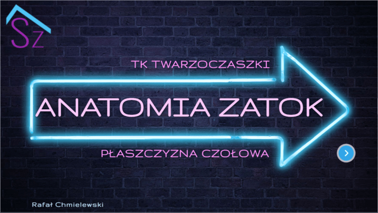 Atlas anatomii radiologicznej — Zatoki, płaszczyzna czołowa