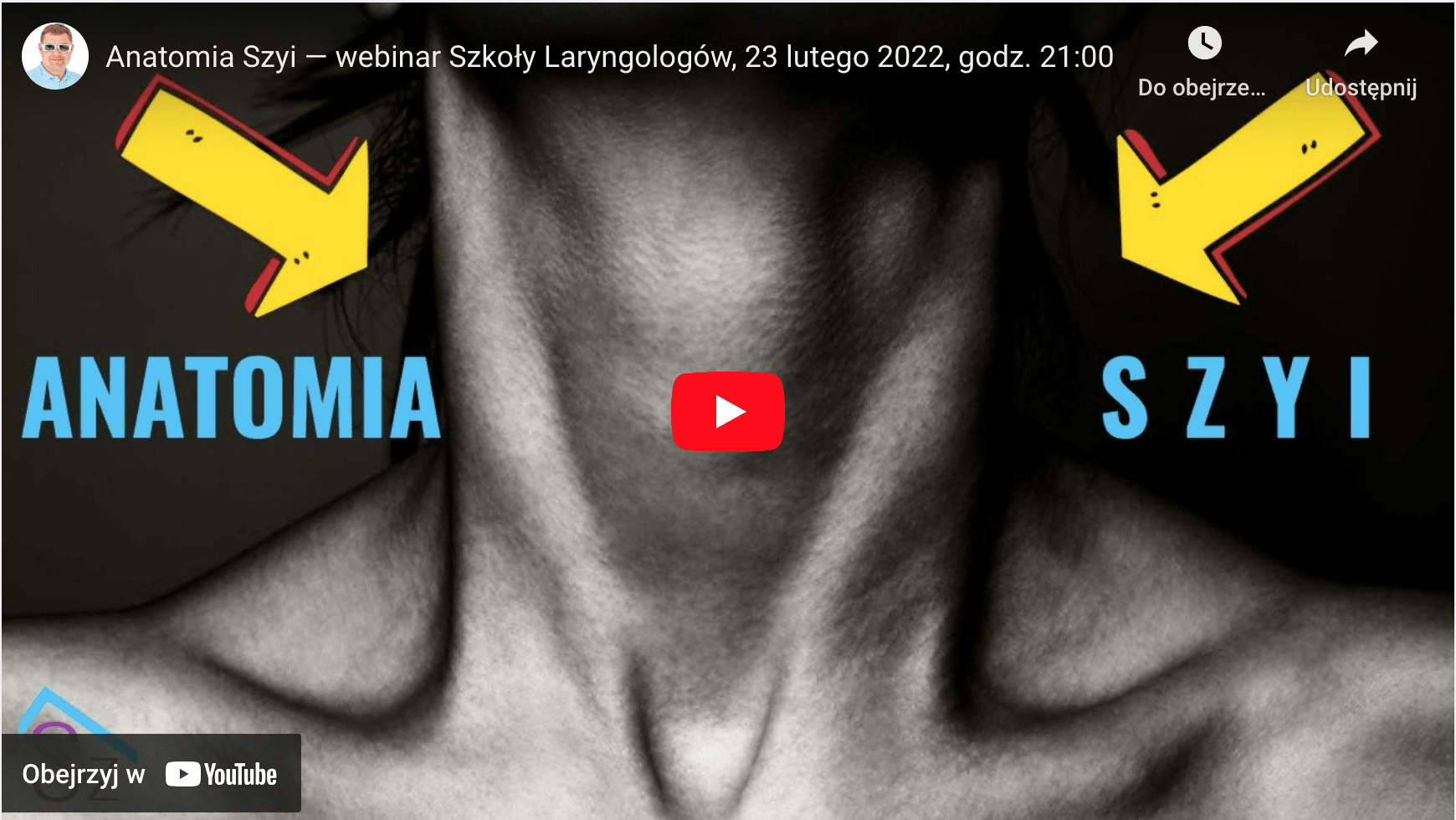 anatomia szyi dla laryngologa