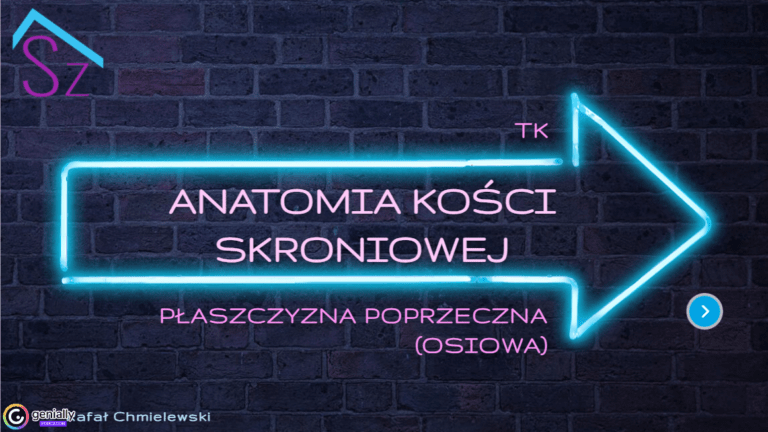 Atlas anatomii radiologicznej — Kość skroniowa, płaszczyzna osiowa (poprzeczna)